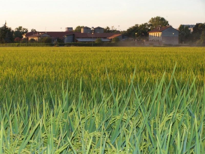 Cascina Battivacco Villa Milano Dış mekan fotoğraf