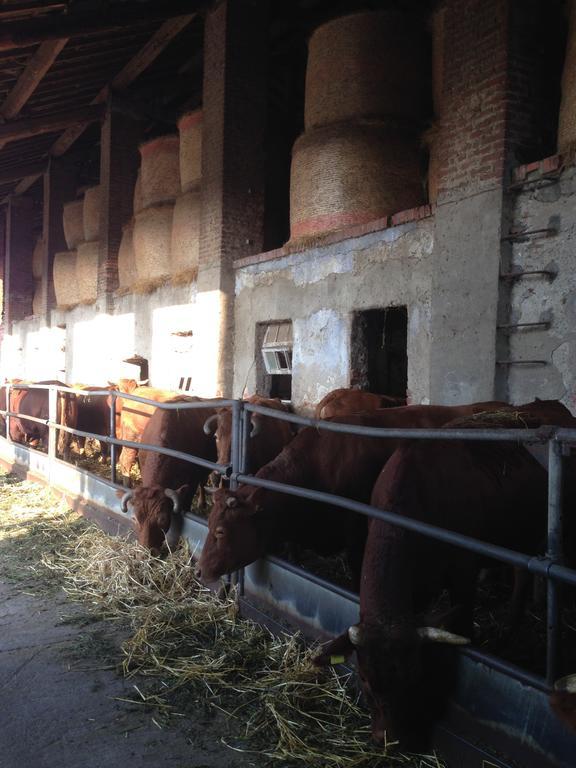 Cascina Battivacco Villa Milano Dış mekan fotoğraf